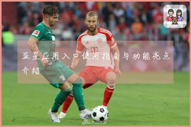 亚星应用入口使用指南与功能亮点介绍