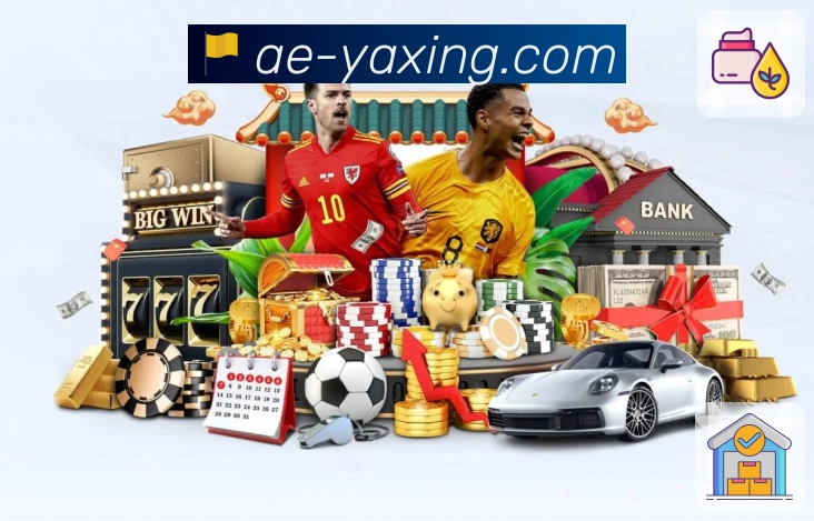 亚星官网APP 封面图